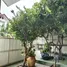 在Baan Pratthana Plus租赁的3 卧室 屋, San Phak Wan, 杭东, 清迈