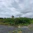 在Banteay Meanchey出售的 土地, Phsar Kandal, Paoy Paet, Banteay Meanchey