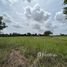  Land for sale in Nakhon Ratchasima, Si Mum, Mueang Nakhon Ratchasima, Nakhon Ratchasima