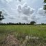  Land for sale in Mueang Nakhon Ratchasima, Nakhon Ratchasima, Si Mum, Mueang Nakhon Ratchasima