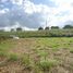  Terrain for sale in Fernando De Noronha, Rio Grande do Norte, Fernando De Noronha, Fernando De Noronha