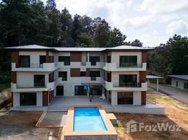 ขายที่ดิน ใน ห้วยแก้ว, เชียงใหม่, ห้วยแก้ว, แม่ออน