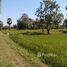  Terrain for sale in Maha Sarakham, Khwao Yai, Kantharawichai, Maha Sarakham