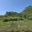  Land for sale in Mu Si, Nakhon Ratchasima, Mu Si