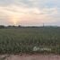  Land for sale in Nong Phai Kaeo, Pattaya, Nong Phai Kaeo, Ban Bueng