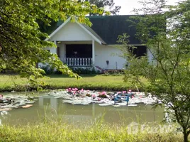 8 Schlafzimmer Villa zu verkaufen in Chiang Dao, Chiang Mai, Chiang Dao, Chiang Dao