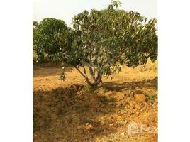  Land for sale in Vellore, Tamil Nadu, Arakkonam, Vellore