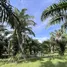  Land for sale in Taling Chan, Krabi, Taling Chan