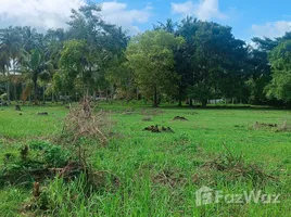 ขายที่ดิน ใน ตลิ่งงาม, สุราษฎร์ธานี, ตลิ่งงาม