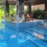 3 Bedroom Villa for sale in Phuket, Pa Khlok, Thalang, Phuket