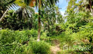N/A Land for sale in Ban Tai, Koh Samui 
