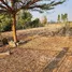  Land for sale in Boet, Surin, Boet, Rattanaburi, Surin, Thailand