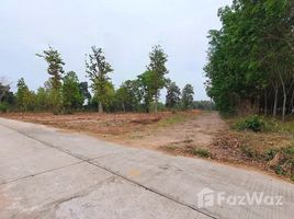  Land for sale in Thailand, Chaen Laen, Kuchinarai, Kalasin, Thailand