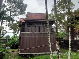 2 Schlafzimmer Haus zu verkaufen in Thalang, Phuket, Si Sunthon, Thalang, Phuket