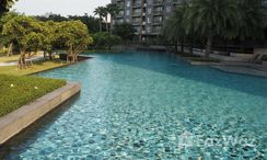 Photos 3 of the Communal Pool at The Parkland Srinakarin Lakeside