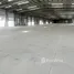  Warenhaus zu vermieten in Mussafah Industrial Area, Abu Dhabi, Mussafah Industrial Area