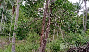 N/A Grundstück zu verkaufen in Ko Pha-Ngan, Koh Samui 