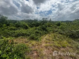  Terrain for sale in FazWaz.fr, Silves, Amazonas, Brésil