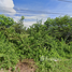  Land for sale in Khuan Maphrao, Mueang Phatthalung, Khuan Maphrao