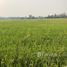  Land for sale in Kamphaeng Phet, Songtham, Mueang Kamphaeng Phet, Kamphaeng Phet