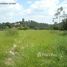  Land for sale in Brazil, Fernando De Noronha, Fernando De Noronha, Rio Grande do Norte, Brazil