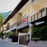 2 Bedroom Townhouse for sale at Baansuay Lamai, Maret, Koh Samui