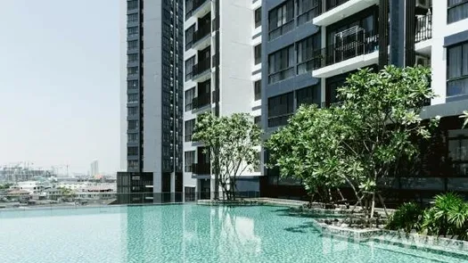 Фото 1 of the Communal Pool at The Tree Interchange