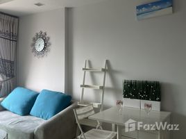 อพาร์ทเม้นท์ 1 ห้องนอน ให้เช่า ในโครงการ ทรู ทองหล่อ, บางกะปิ