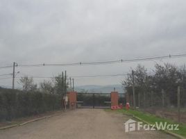  Земельный участок на продажу в Colina, Colina, Chacabuco, Сантьяго