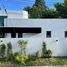 4 Bedroom House for sale at Mooban Wangtan, San Phak Wan