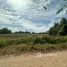  Land for sale in Kham Thale So, Nakhon Ratchasima, Bueng O, Kham Thale So