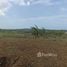  Land for sale at Puerto Plata, San Felipe De Puerto Plata