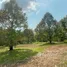 Land for sale in Ban Laeng, Rayong, Ban Laeng