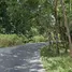 ขายที่ดิน ใน บางไทร, พังงา, บางไทร, ตะกั่วป่า