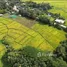  Land for sale in On Klang, Chiang Mai, On Klang