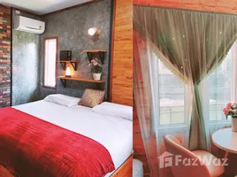 4 Schlafzimmer Haus zu verkaufen in Wang Nam Khiao, Nakhon Ratchasima, Thai Samakkhi, Wang Nam Khiao, Nakhon Ratchasima, Thailand