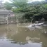 Terrain à vendre à Tha Mai, Samut Sakhon, Tha Mai