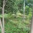  Land for sale in Bo Phut, Surat Thani, Bo Phut, Koh Samui, Surat Thani, Thailand