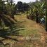  Land for sale in Phrae, Huai Rai, Den Chai, Phrae