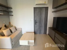 คอนโด 1 ห้องนอน ให้เช่า ในโครงการ เอลลิโอ เดล เนสท์, บางนา, บางนา