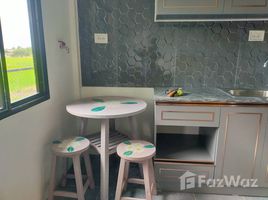 1 спален Дом for rent in Chiang Mai International Airport, Suthep, Tha Wang Tan