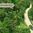  Land for sale in Koh Phangan, Surat Thani, Koh Phangan, Koh Phangan, Surat Thani, Thailand
