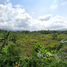  Land for sale in Surat Thani, Lipa Noi, Koh Samui, Surat Thani