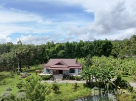 ขายบ้านเดี่ยว 2 ห้องนอน ใน ลิ่นถิ่น, กาญจนบุรี, ลิ่นถิ่น, ทองผาภูมิ