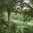  Terreno (Parcela) en venta en Costa Rica, Aguirre, Puntarenas, Costa Rica