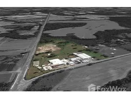  Land for sale at Valdivia, Mariquina, Valdivia