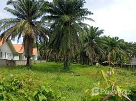  Land for sale in Si Sunthon, Phuket, Si Sunthon