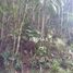  Land for sale in Teresopolis, Teresopolis, Teresopolis