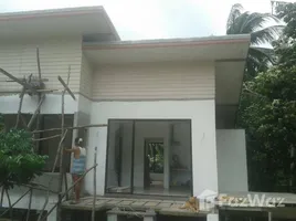 ขายที่ดิน ในโครงการ เดอะทรี มะเดื่อหวาน, เกาะพะงัน, เกาะพะงัน, สุราษฎร์ธานี