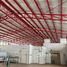 3 Bedroom Warehouse for rent in Buri Ram, Lam Plai Mat, Buri Ram